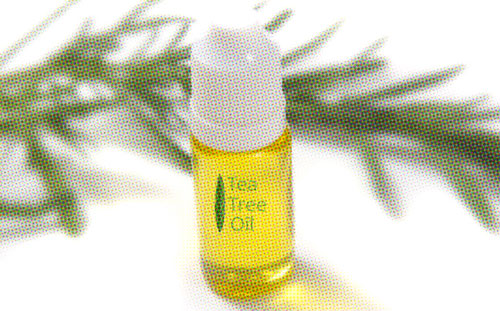 cure oil thrush with tea tree oil